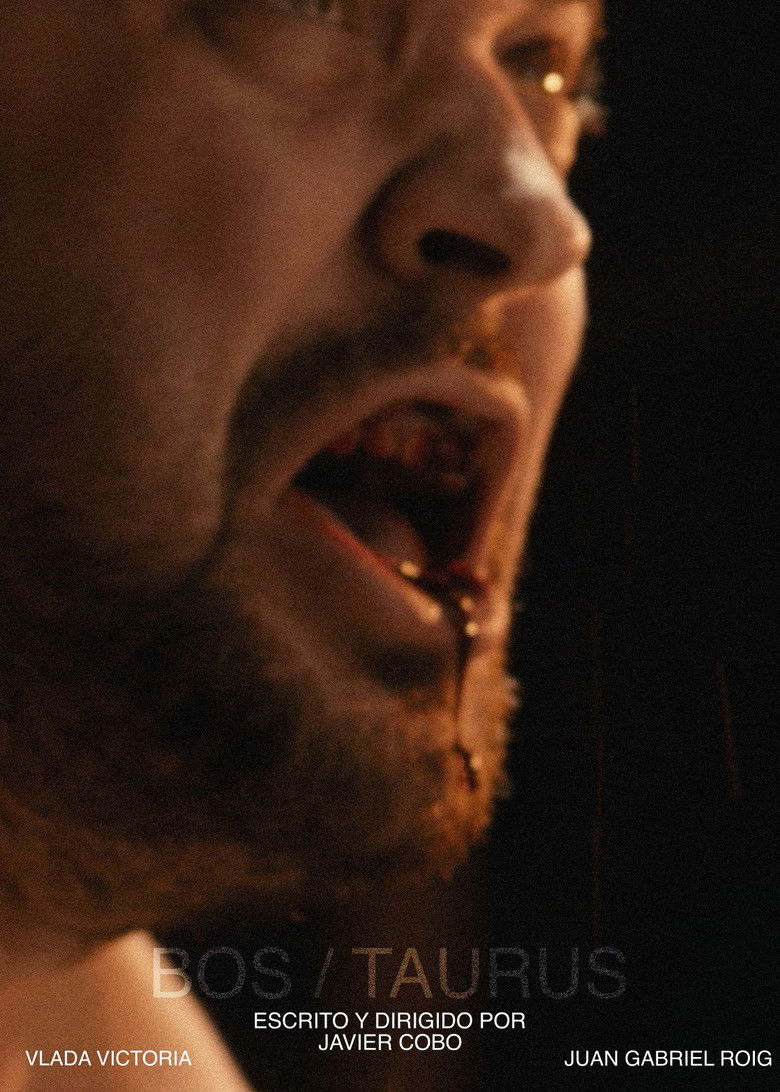 Imatge de Bos/Taurus