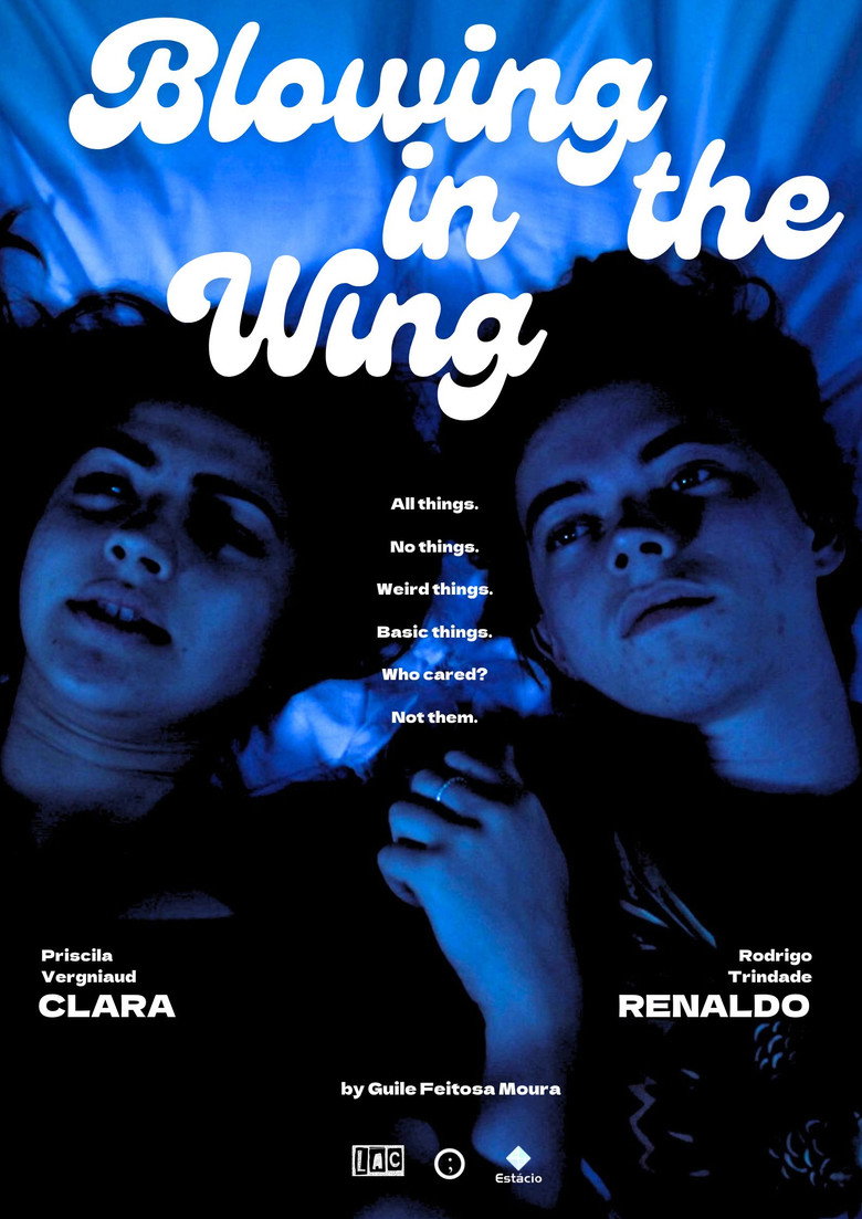 Imatge de Blowing In The Wing