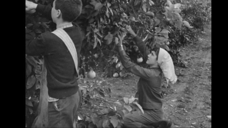 Imatge de יומן הקיבוץ המאוחד מס' 28 - גדות לירדן