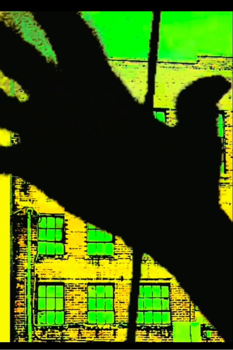 Imatge de Moment: Uncoordinated Shadows