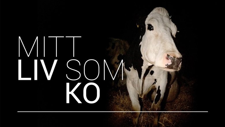 Cow (2022)