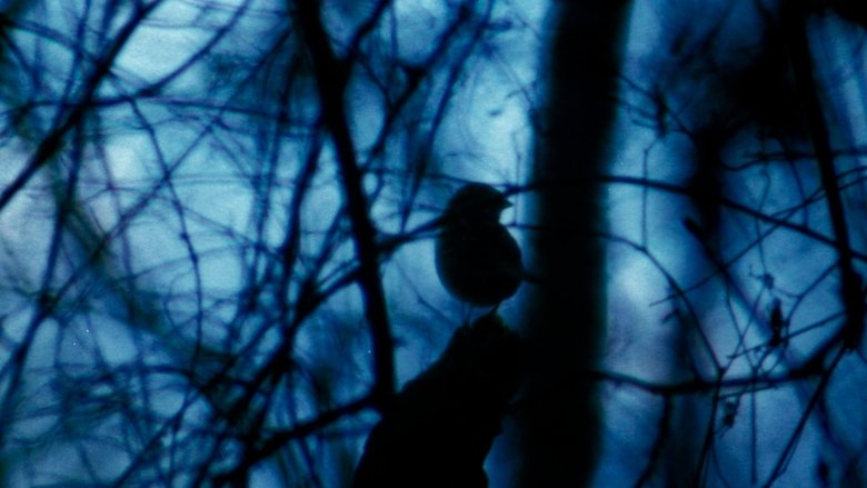 The Legend of Boggy Creek (1972)