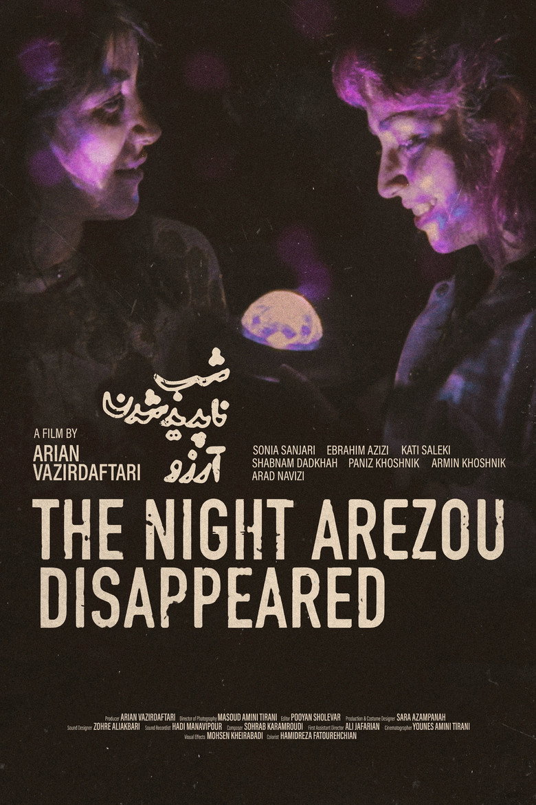 The Night Arezou Disappeared