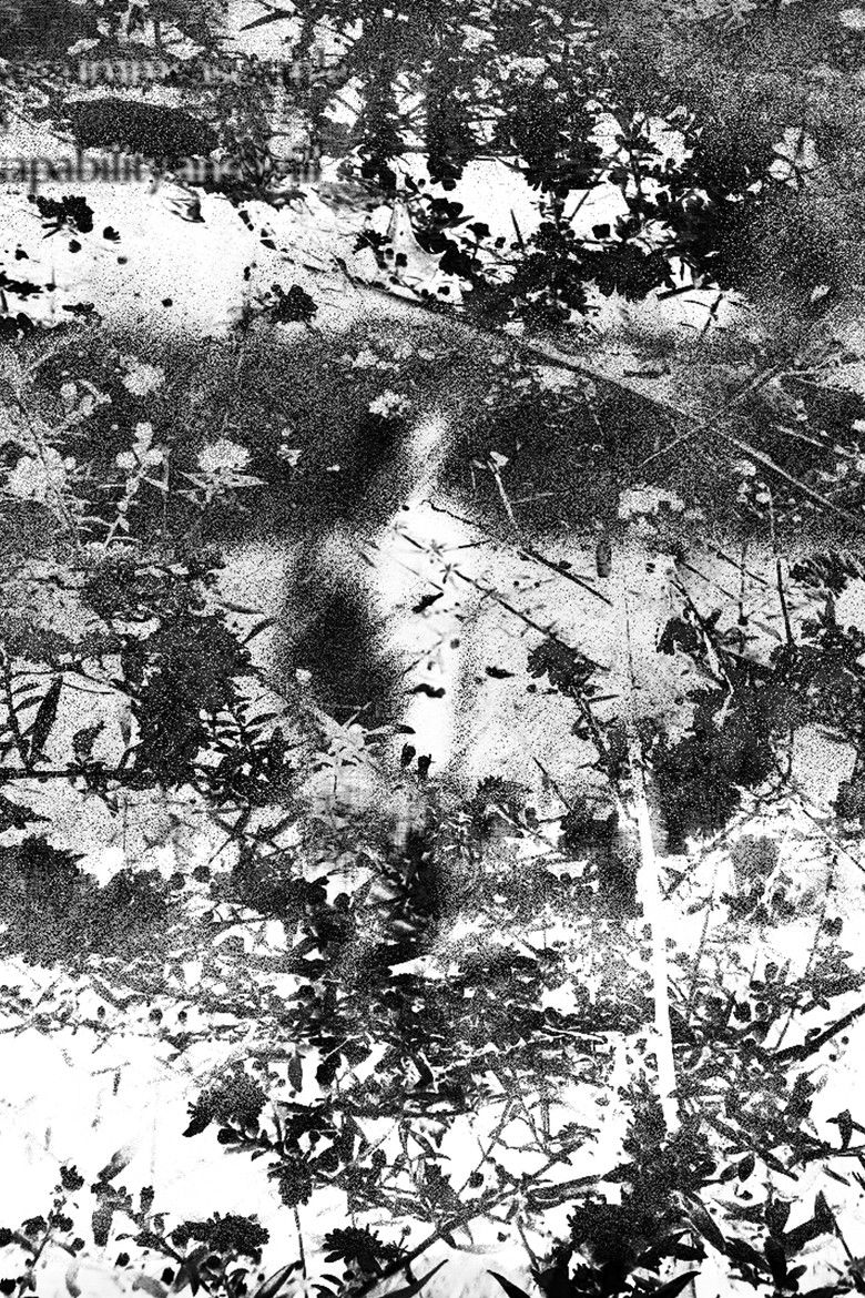 Imatge de Falling Star