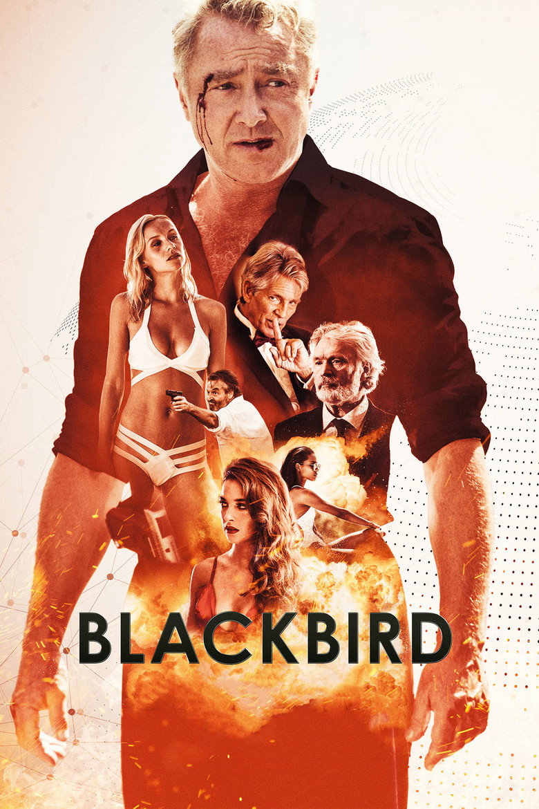 Imagen de Blackbird