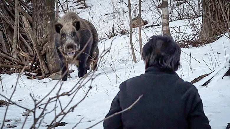 Imatge de 멧돼지 사냥