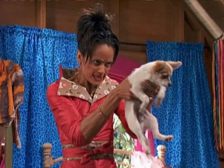 Still from That's So Raven - Season 4 Episode 5