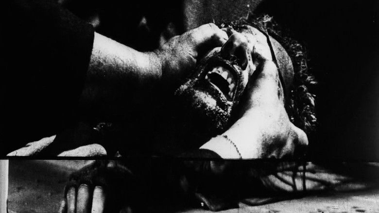 Imatge de Instructions for a Light and Sound Machine