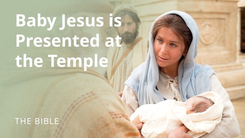 Still image for The Life of Jesus Christ season 1 episode 9: Luke 2 | The Christ Child Is Presented at the Temple Still image for The Life of Jesus Christ season 1 episode 9: Luke 2 | The Christ Child Is Presented at the Temple
