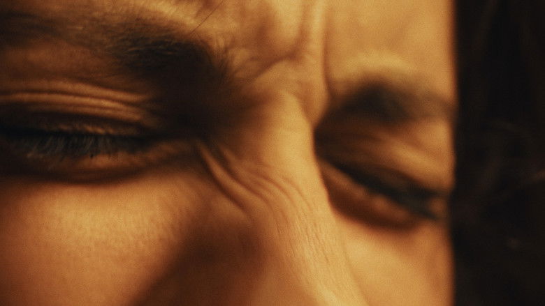 Gallery image from lFXyYyw9yeLltL9IGqQkcCddcyF.jpg