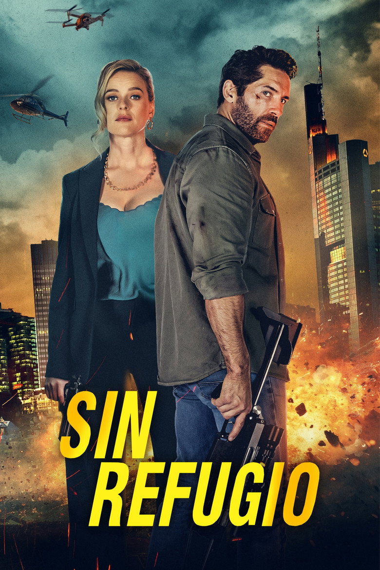 Póster la Película