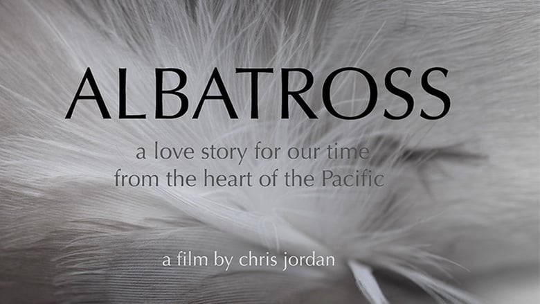 مشاهدة فيلم Albatross 2017 مترجم أون لاين بجودة عالية