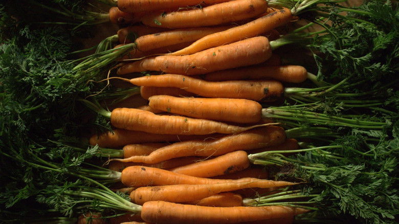 Imatge de Onicofagia