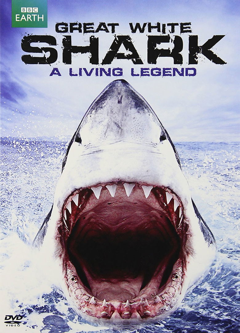 Imatge de Great White Shark: A Living Legend