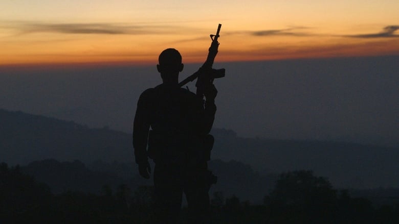 watch Cartel Land now