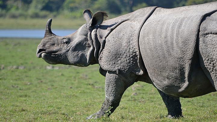 Still image for Asia – Secret Lives, Hidden Places season 1 episode 3: Tun Sakaran Marine Park: Malaysia – Paradise Found Still image for Asia – Secret Lives, Hidden Places season 1 episode 3: Tun Sakaran Marine Park: Malaysia – Paradise Found