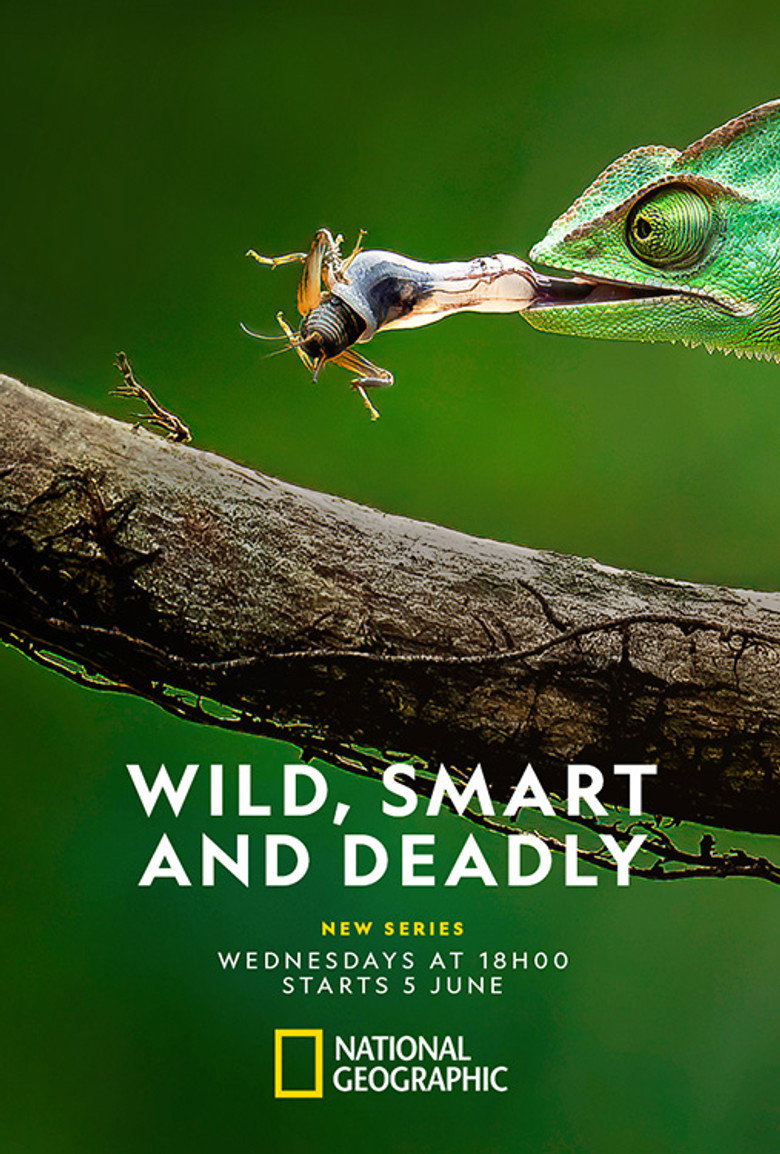 Wild, Smart and Deadly