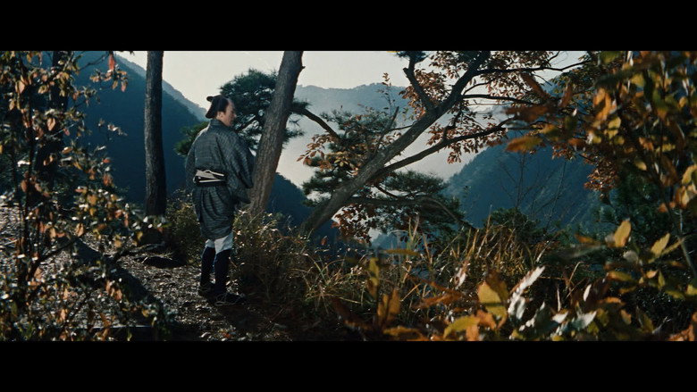 Film backdrop