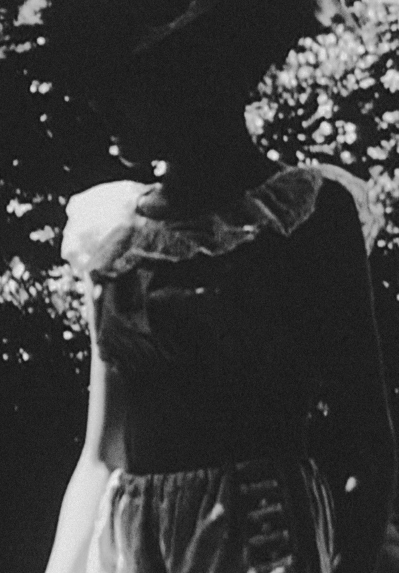 Imatge de Centuries of June