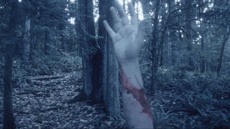 Gallery image from lI9YOooUTcNImMe7ax43lLRvHFd.jpg