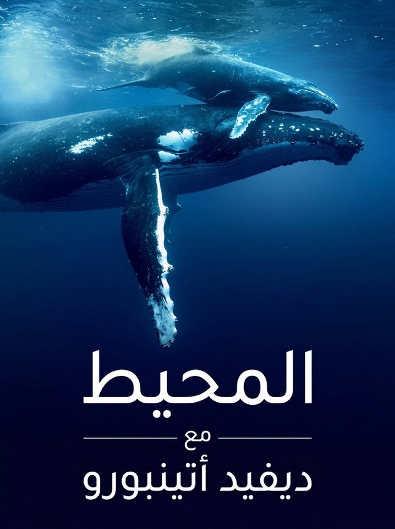 المحيط مع ديفيد أتينبورو