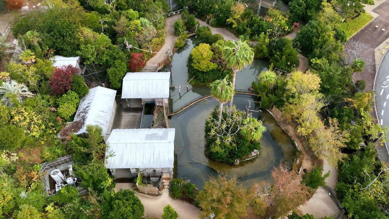 Still from Tokiwa Zoo