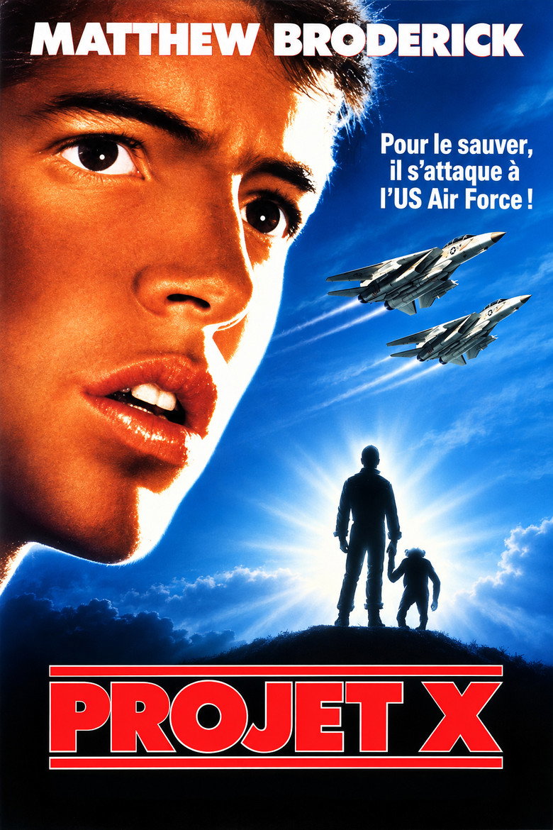 Póster la Película