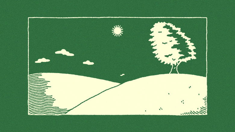 The Sycamore 2