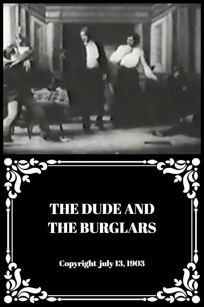 The Dude and the Burglars main poster