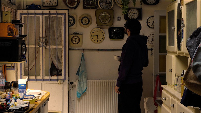 Imatge de Leucosélidophilie