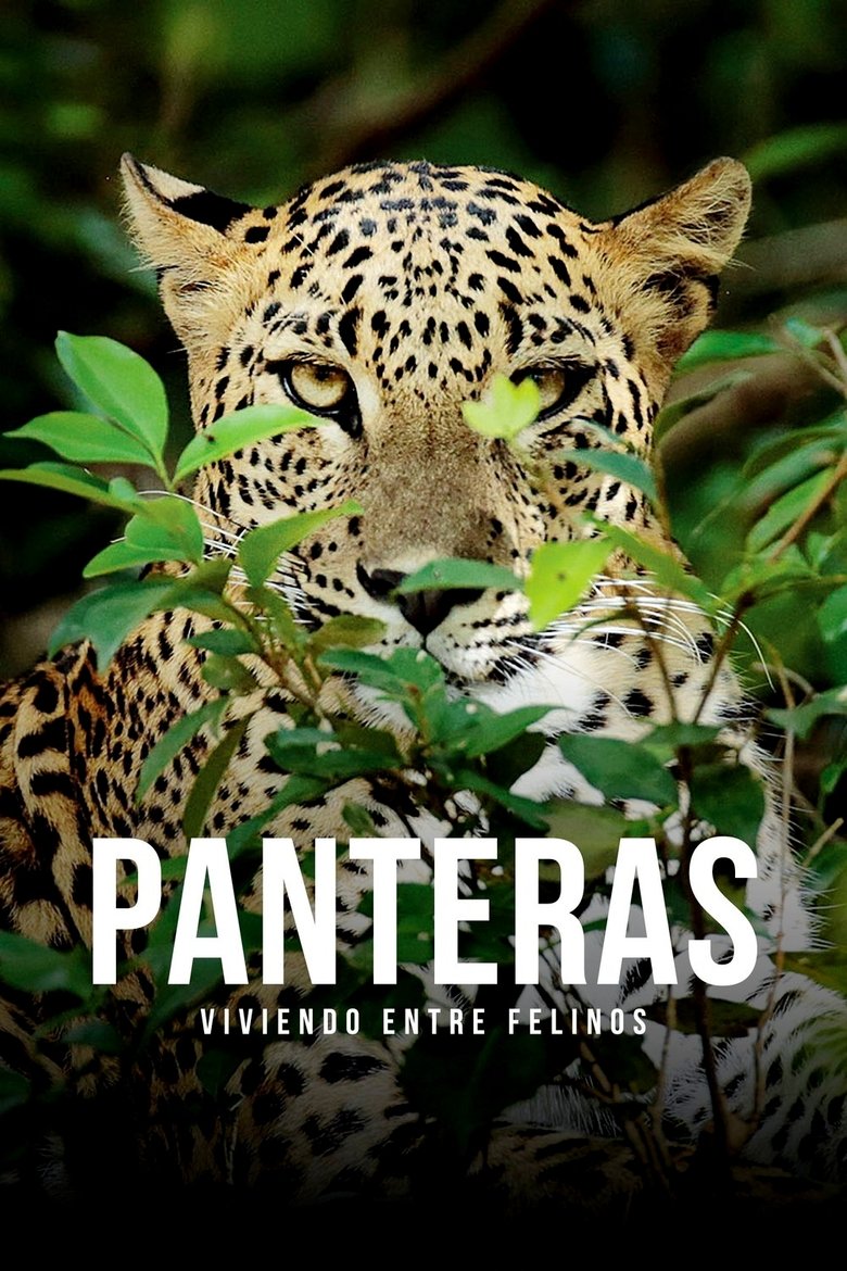 Panteras: viviendo entre felinos (2021)