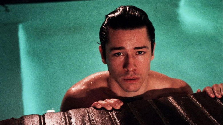 Backdrop de Dare Collection