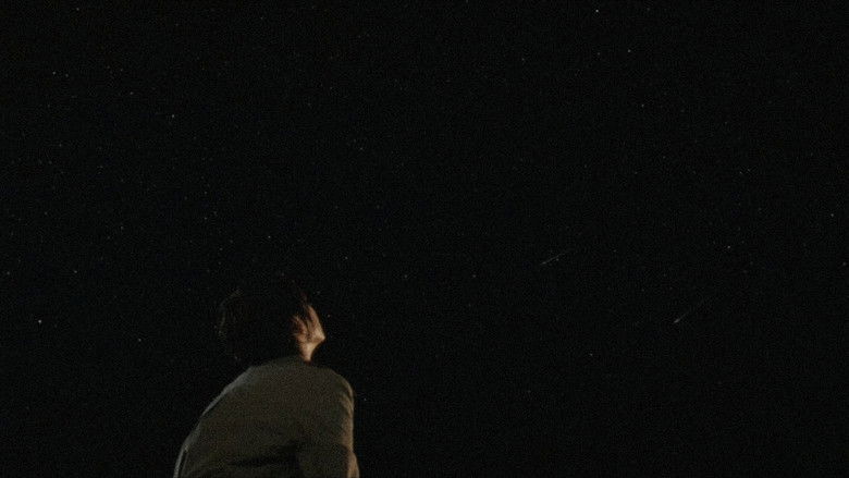 Image d'arrière-plan 3 du film 星に願いを