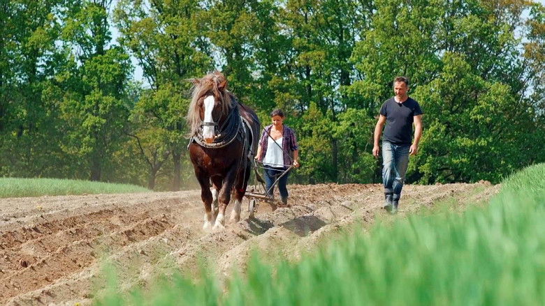 Still image for Co naše babičky uměly a na co my jsme zapomněli season 1 episode 18: Episode 18