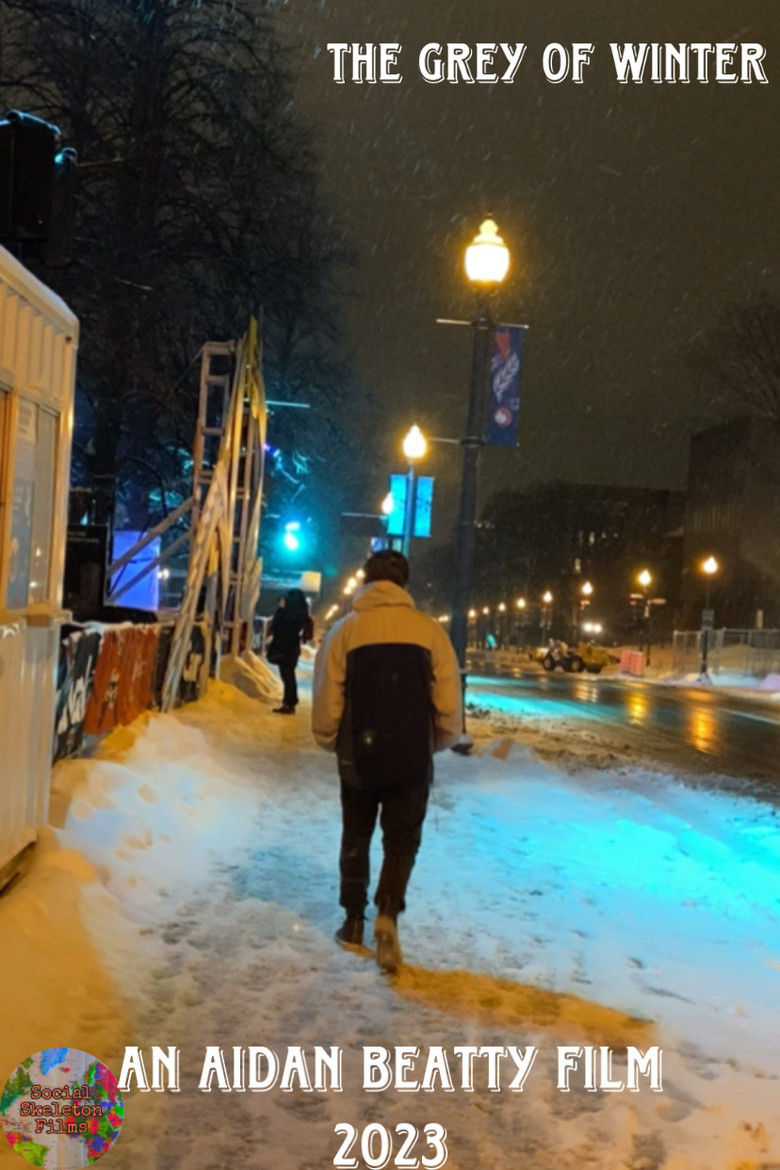 Imatge de La Gris D'hiver