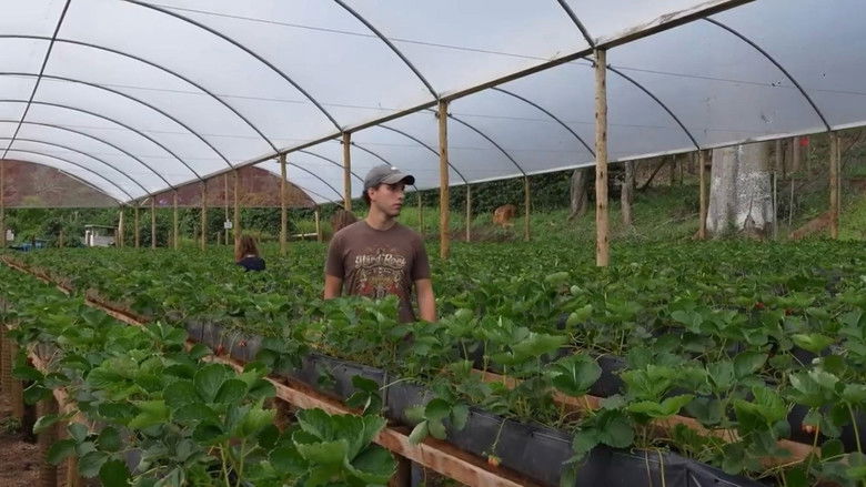 Gallery image from lKeCA5xE4a5CWowLgB7hnhaoFdd.jpg