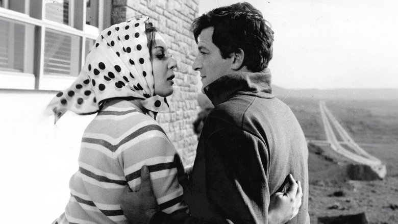 Dişi Örümcek (1963)