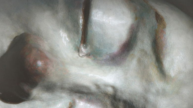 Llexlrrlask16bkwxouhnszxeve