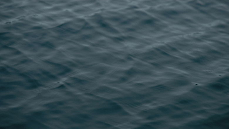 Gallery image from lLPHiJJPe9OR8rpPFpI2DH39G1F.jpg