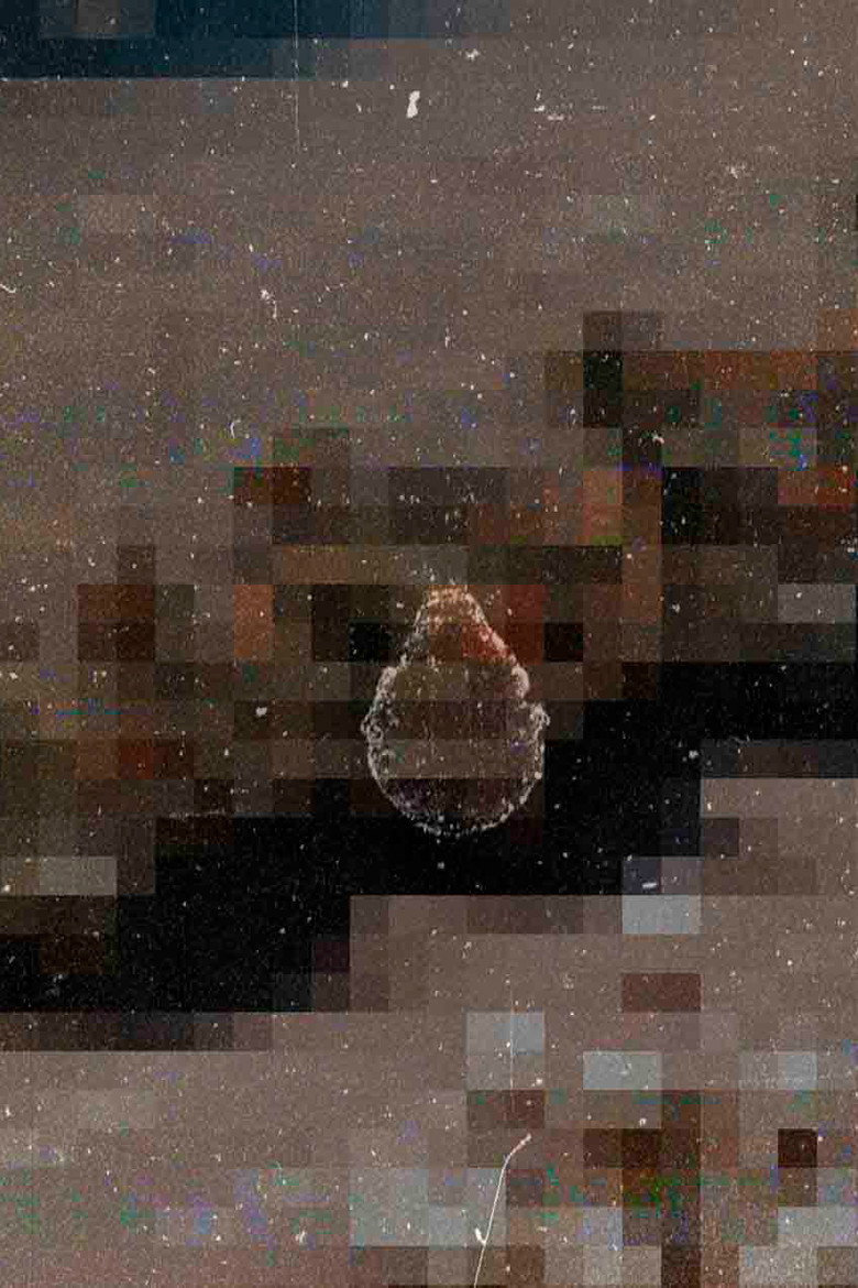 Imatge de REMIX - REMIX