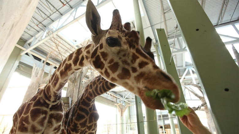 Still image for Dr. Oakley, Yukon Vet season 1 episode 5: Oakley Get Your Blow Gun