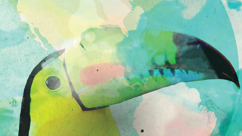 Imatge de Toucan Nation