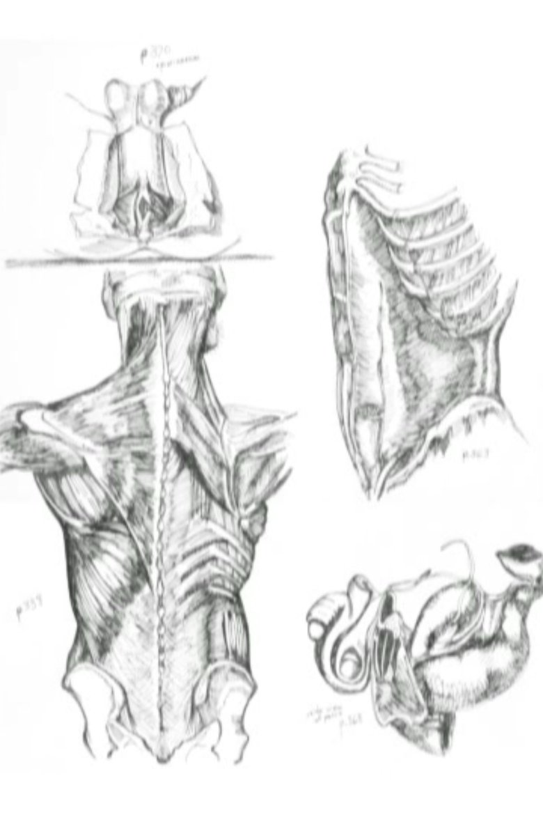 Médicalement main poster
