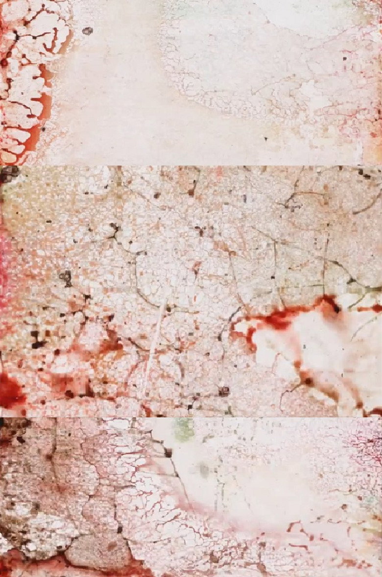 71 50 background
