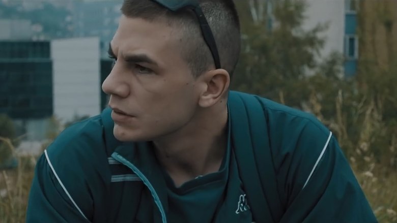 Majkino zlato (2018)