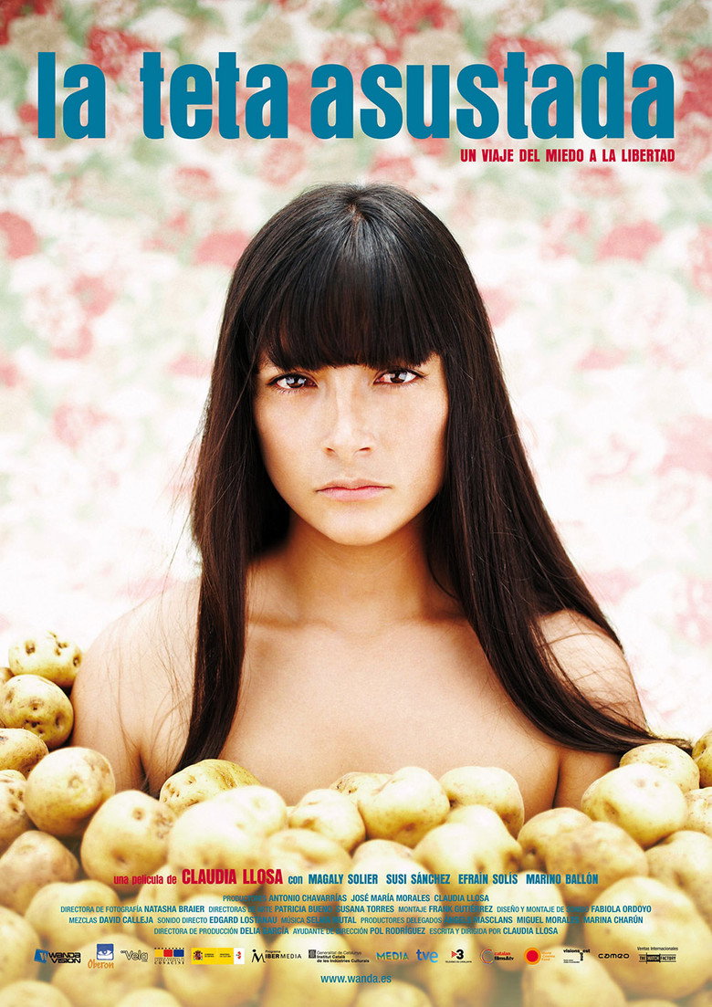 Póster la Película