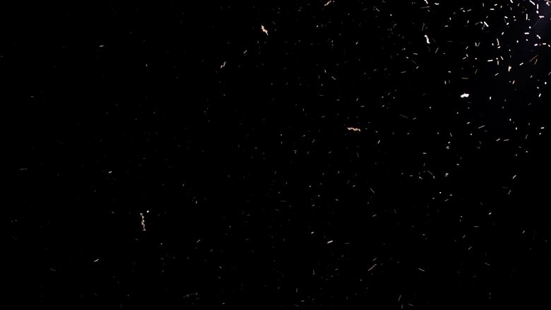 Gallery image from lMvGRtE8DhRlJTaT4sm45AhXRFs.jpg