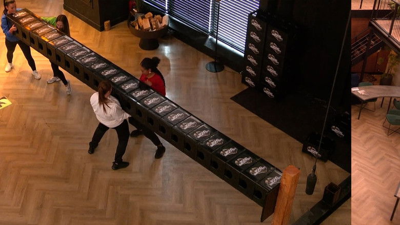 Still image for De Bondgenoten season 1 episode 252: Episode 252