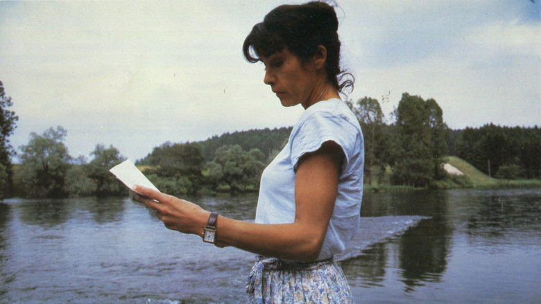 Image d'arrière-plan 1 du film Tarot