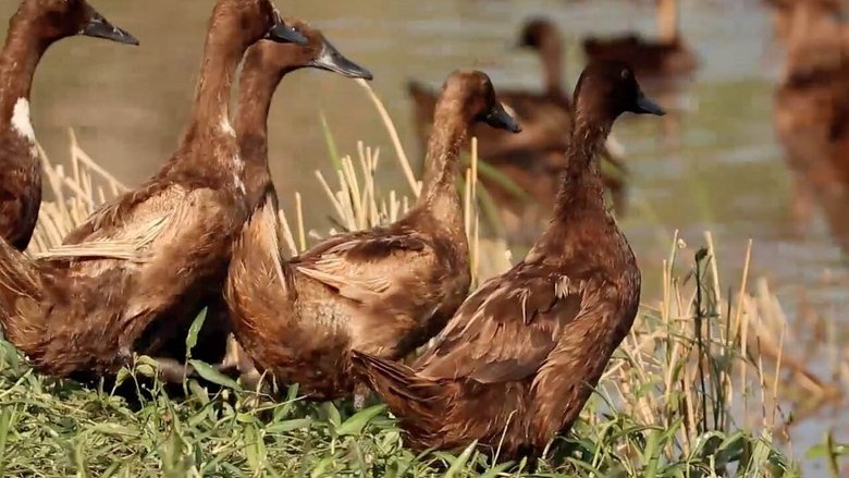 Gallery image from lNzpXJzjjg2G8Il5MyExBxkcsiz.jpg